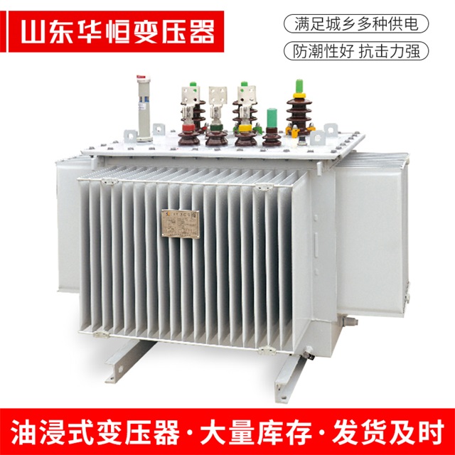 S13-10000/35昭通昭通昭通电力变压器